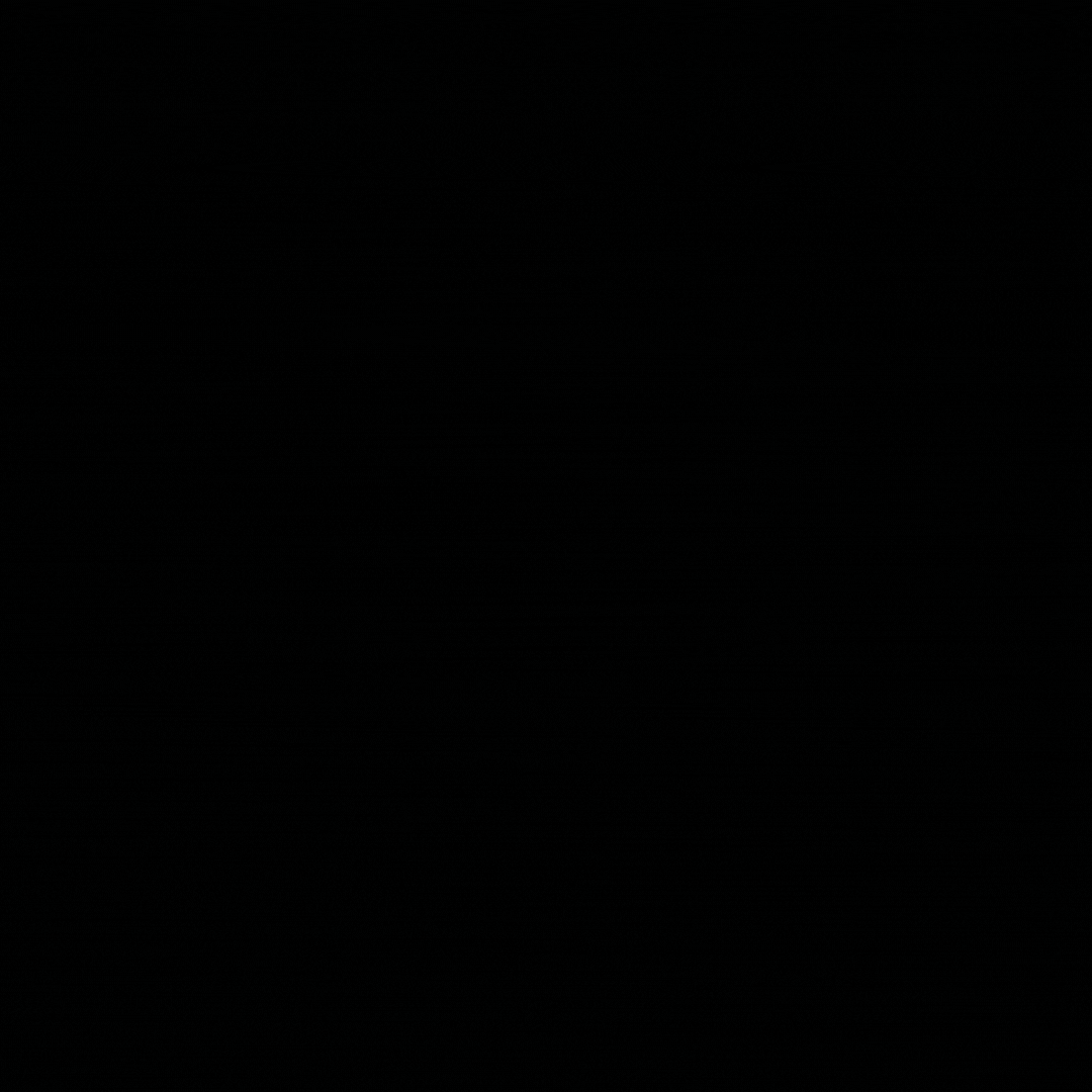 TeleGlobal Logo