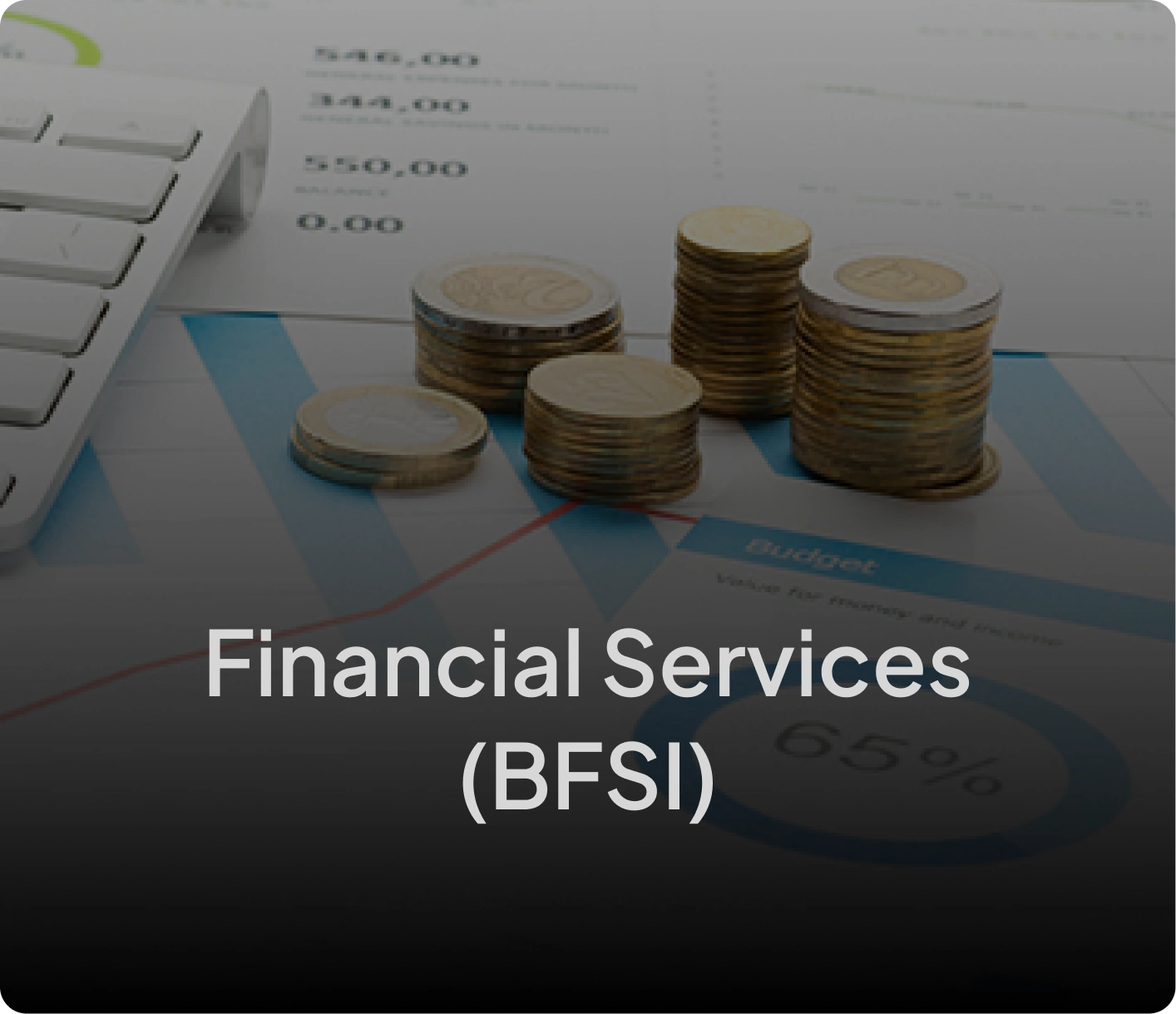 Financial Services (BFSI)