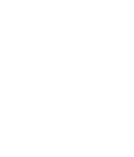 Alternate Text
