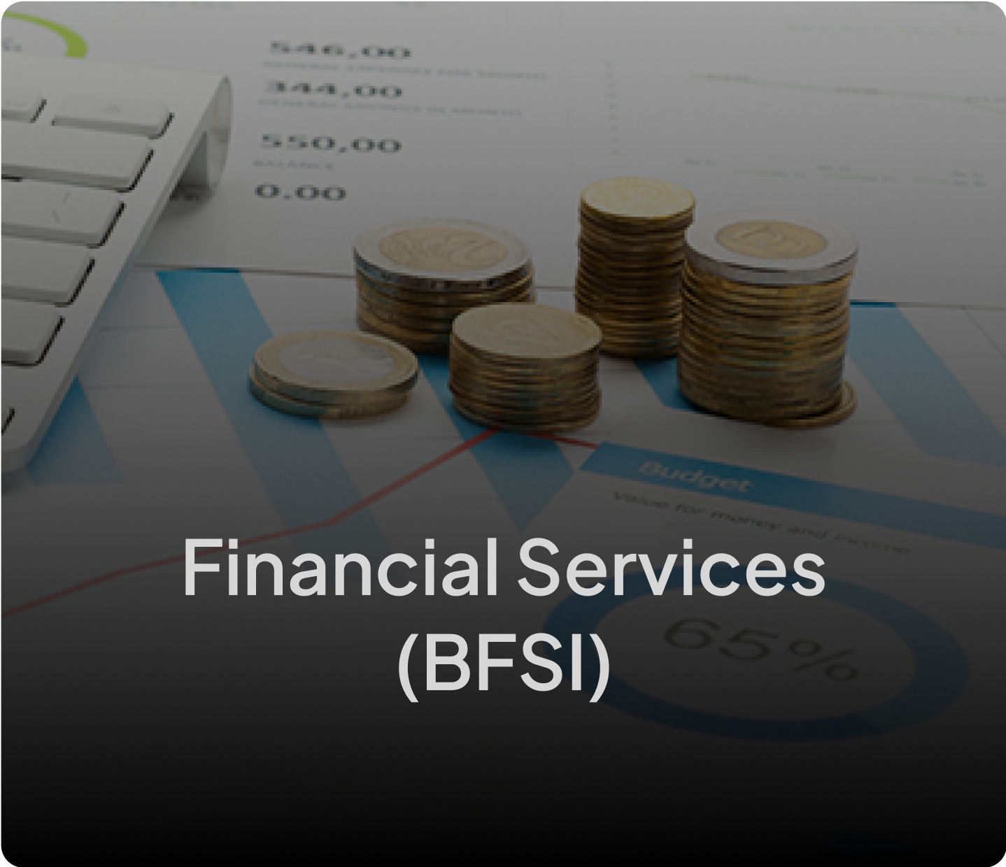 Financial Services (BFSI)